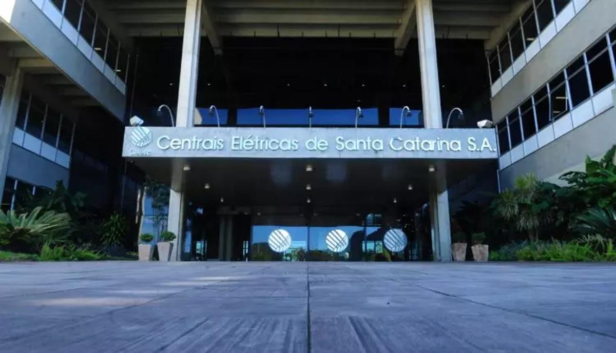 Celesc é condenada sozinha por choque que matou égua em via pública