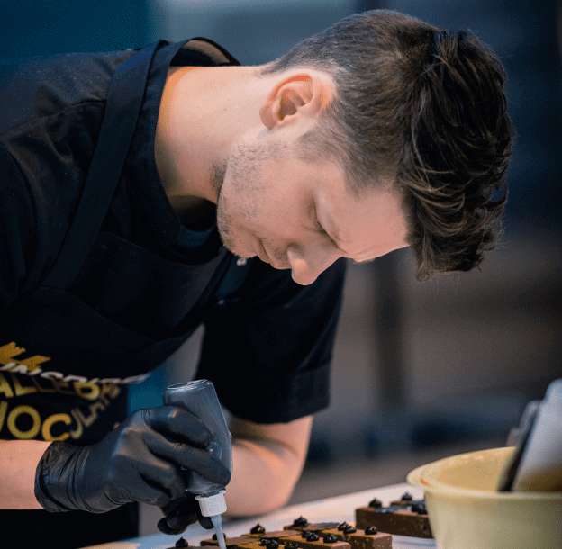 Emil Luigi Mathis Vang