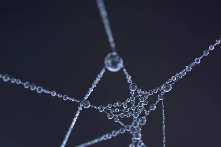Dark web dangers: the darkest corners of the Internet exposed on Techcess by Amelia Paro!
