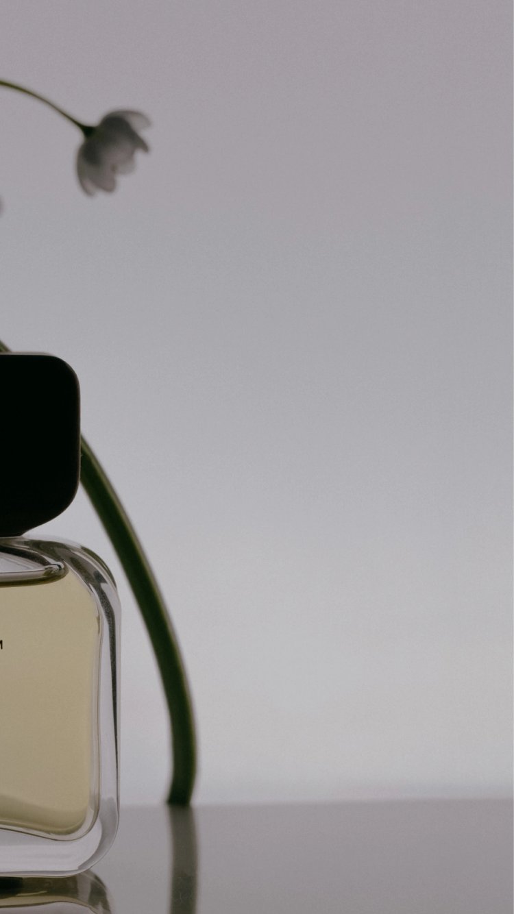 EST+6_AYOND_Mascort_CaseStudy_056