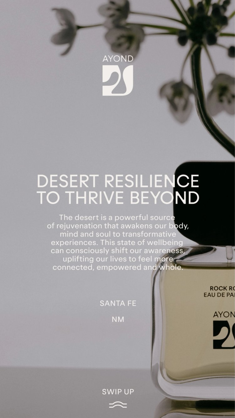EST+6_AYOND_Mascort_CaseStudy_055