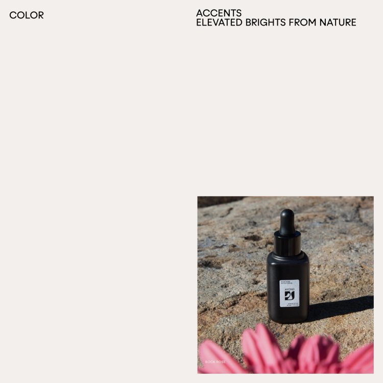 EST+6_AYOND_Mascort_CaseStudy_085