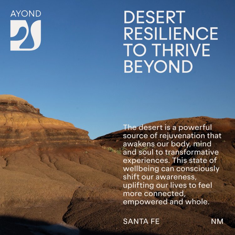 EST+6_AYOND_Mascort_CaseStudy_050