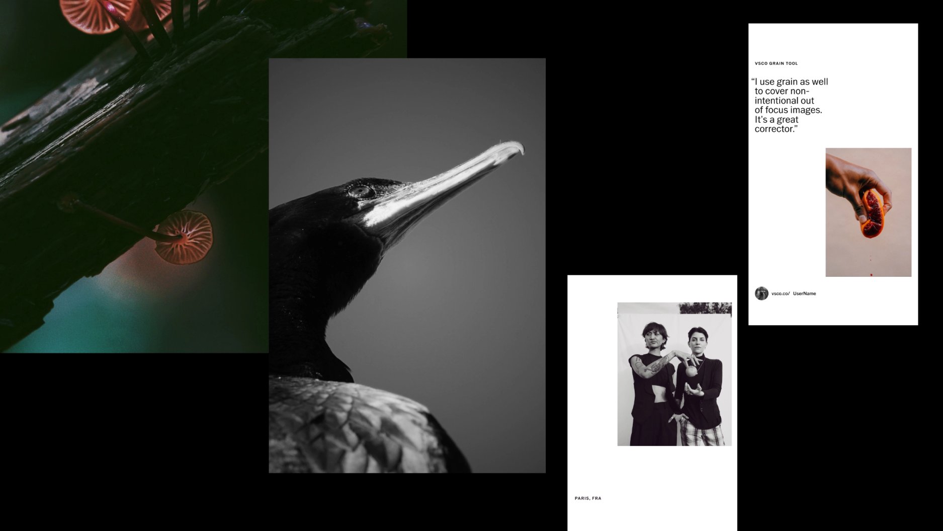 EST+6_VSCO_BRANDPLATFORM_CrisMascort_0078