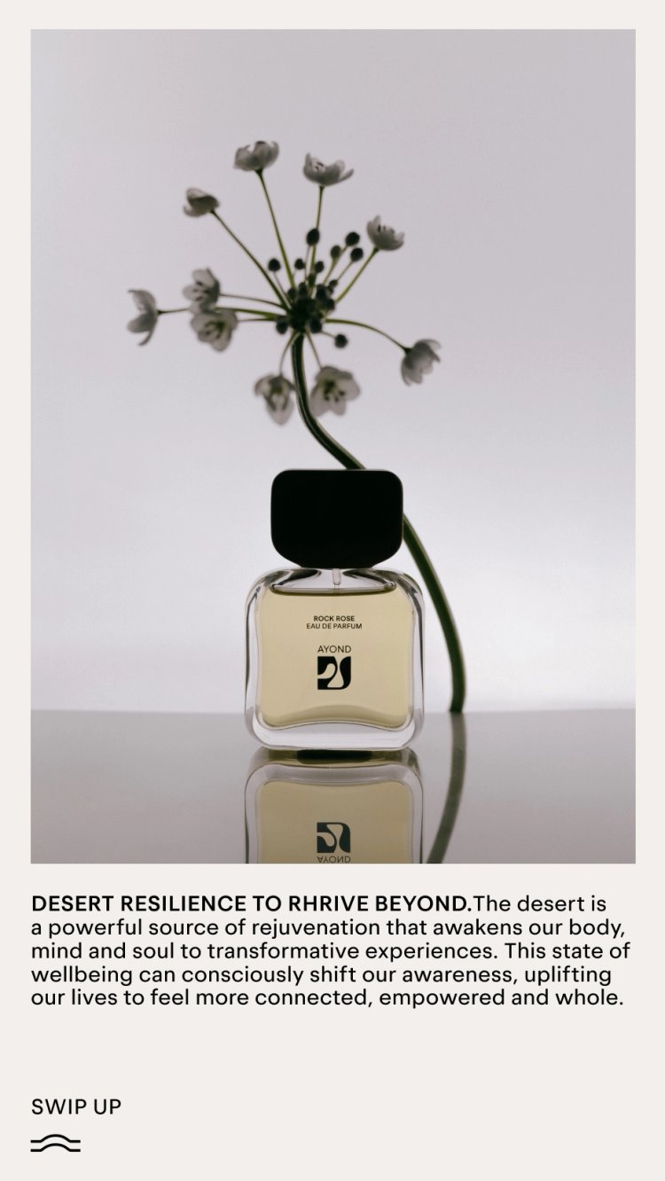 EST+6_AYOND_Mascort_CaseStudy_059