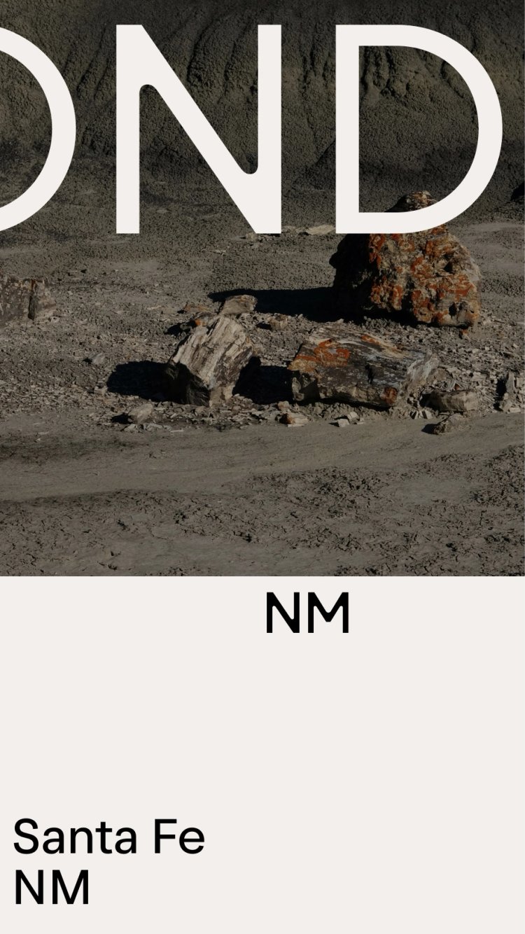 EST+6_AYOND_Mascort_CaseStudy_019