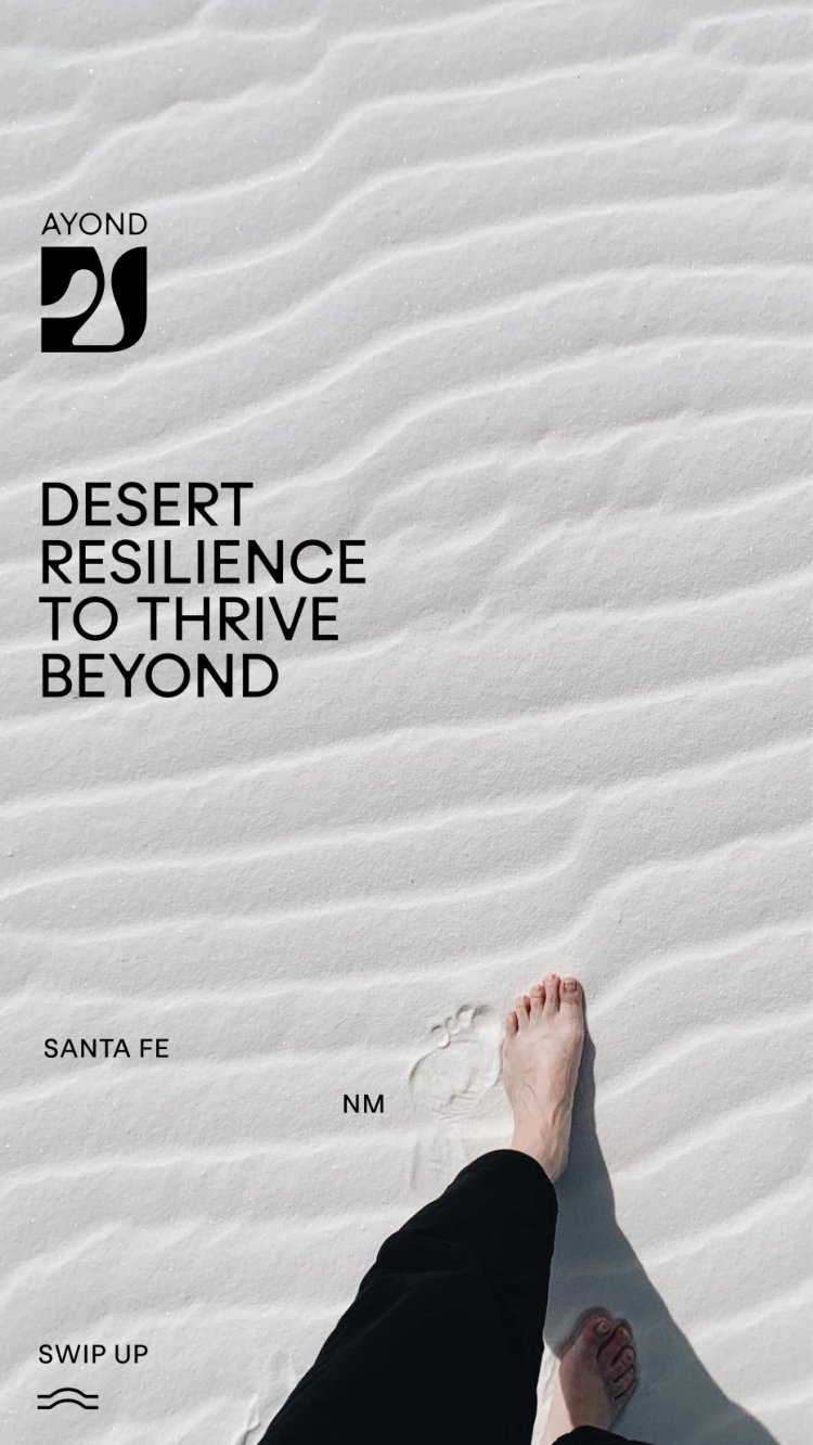 EST+6_AYOND_Mascort_CaseStudy_058
