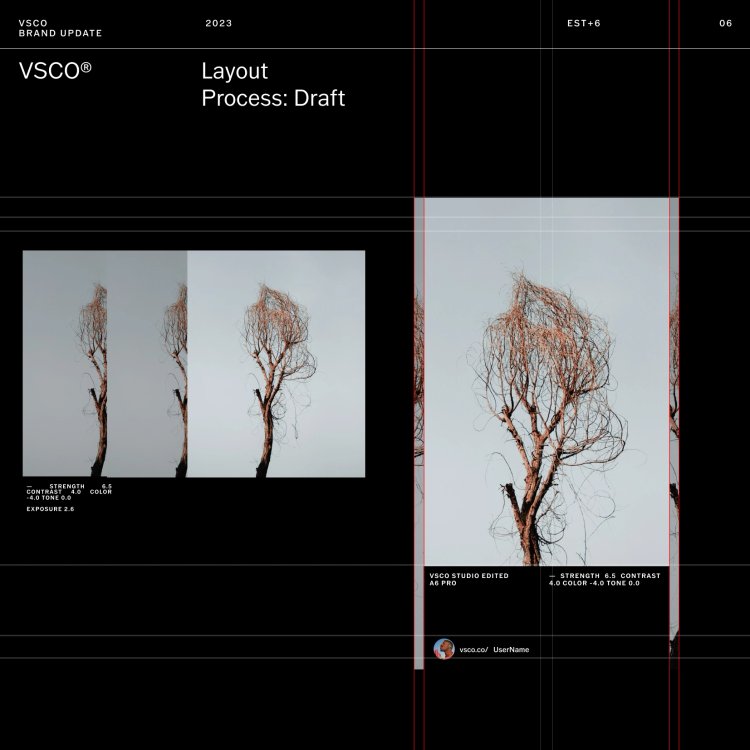 EST+6_VSCO_BRANDPLATFORM_CrisMascort_0064