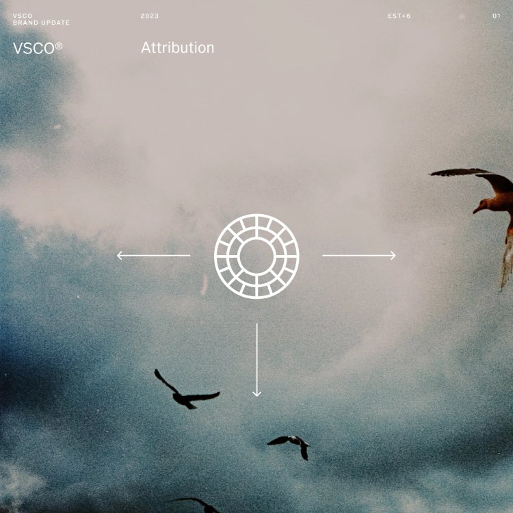EST+6_VSCO_BRANDPLATFORM_CrisMascort_0033