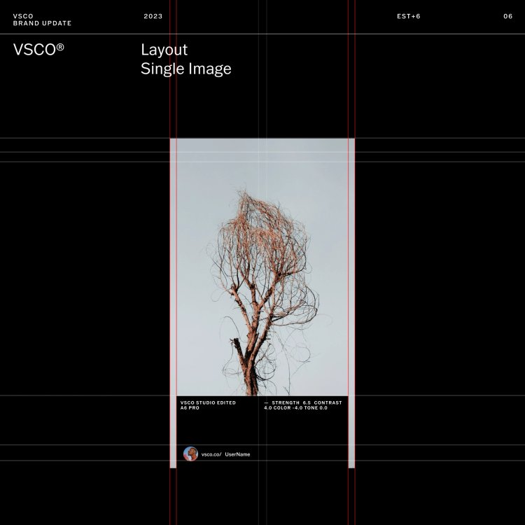 EST+6_VSCO_BRANDPLATFORM_CrisMascort_0062