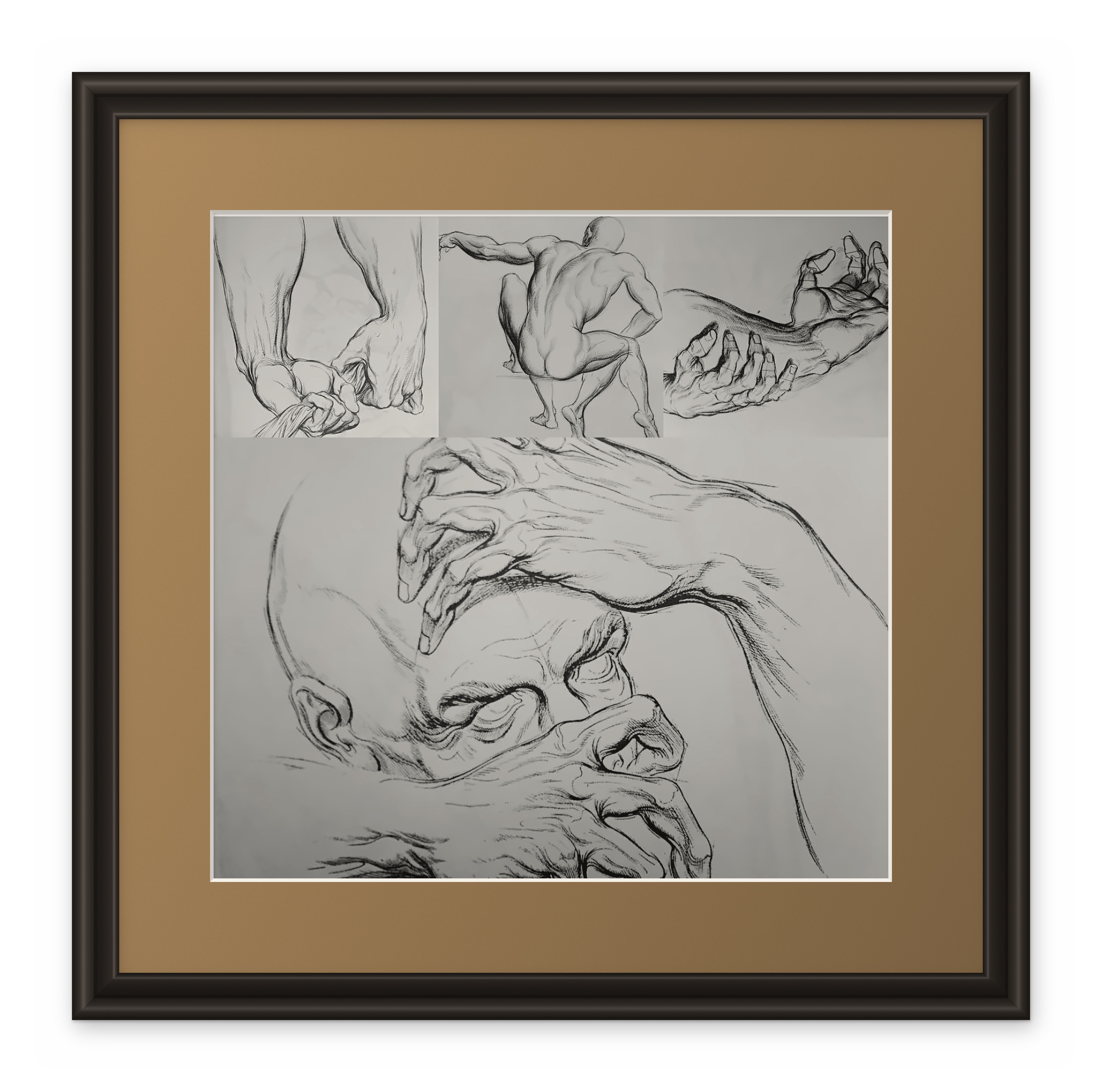 Framed pencil studies of hands and human anatomy