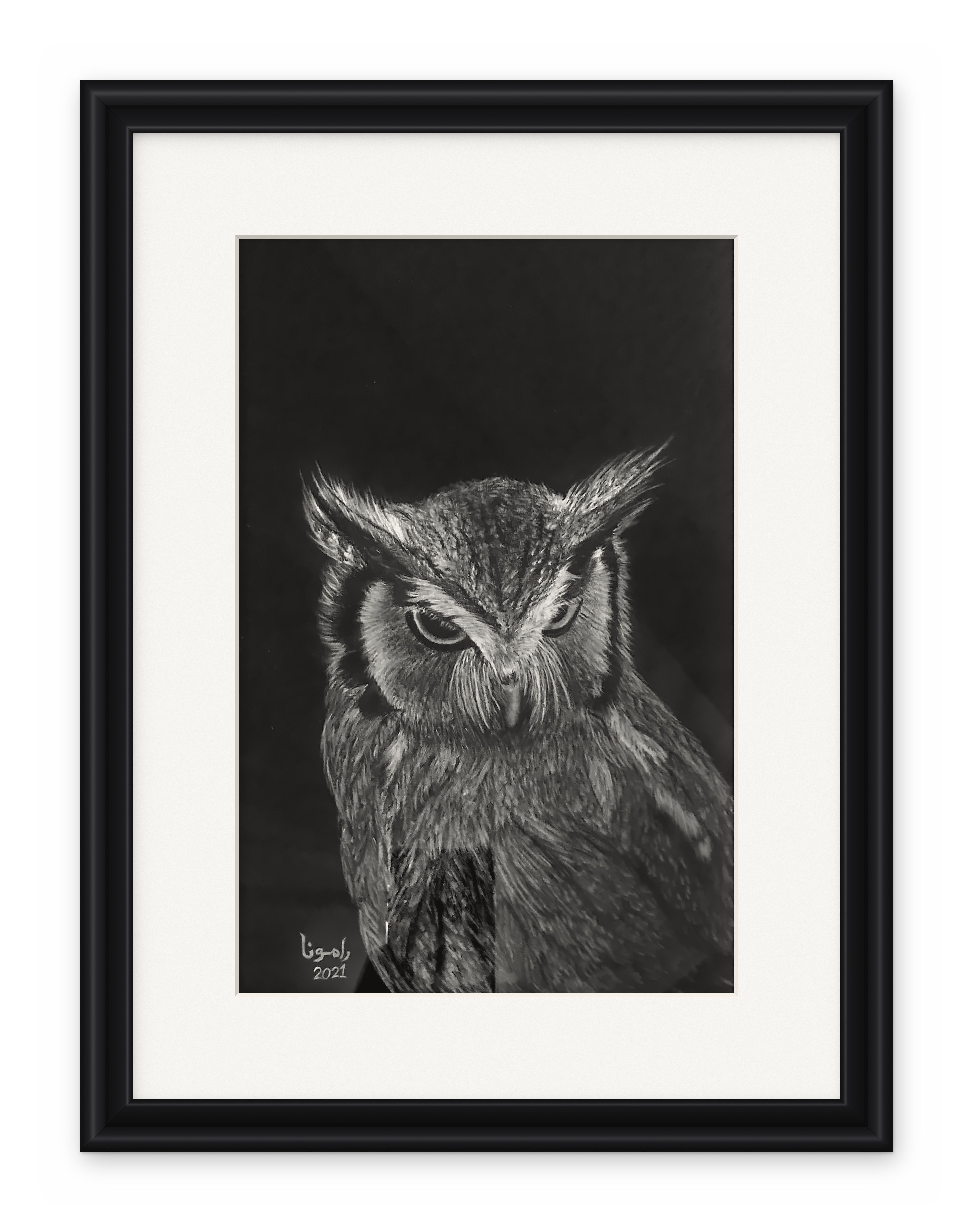 Framed charcoal portrait of an owl