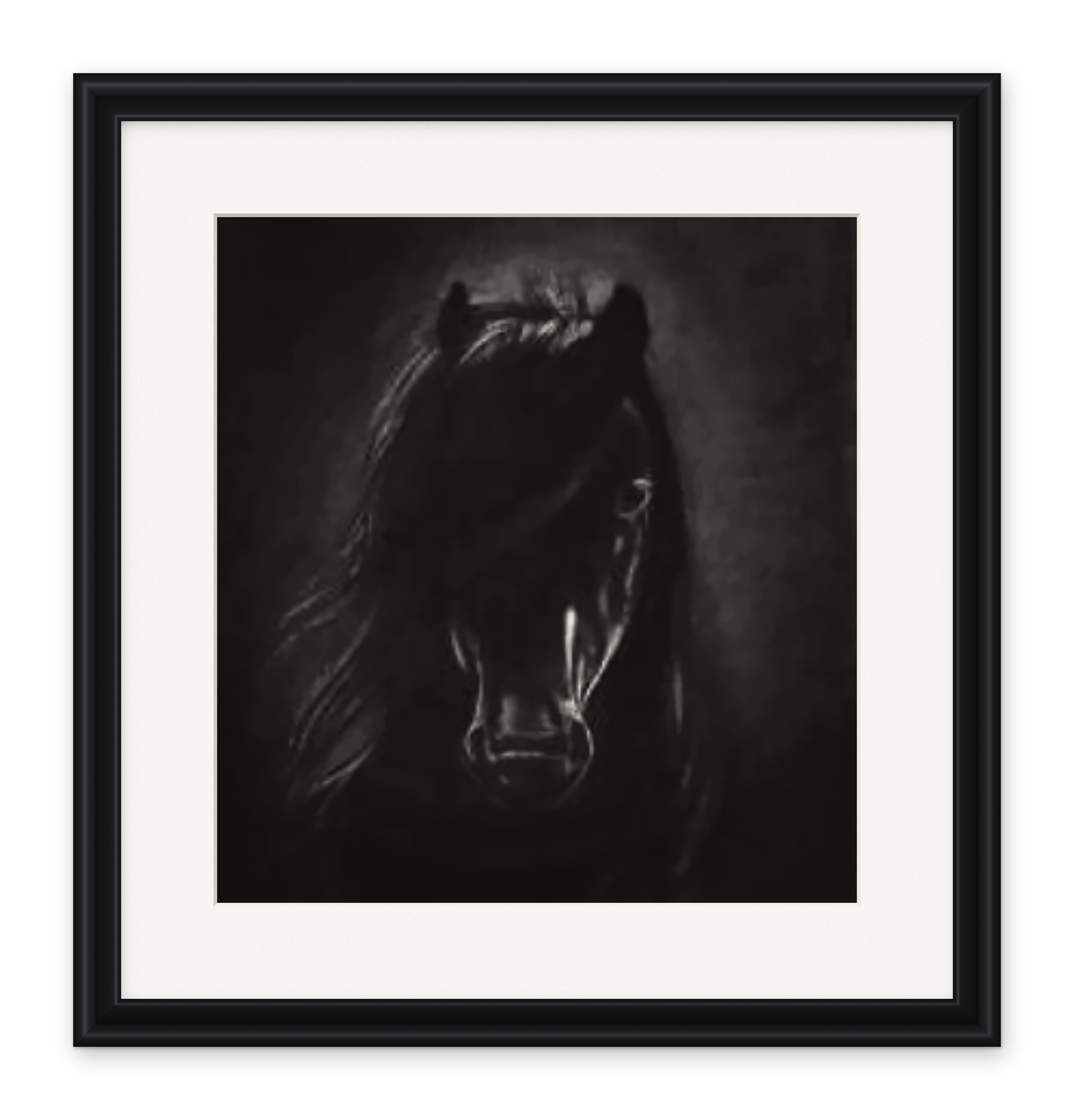 Framed charcoal portrait of a horse