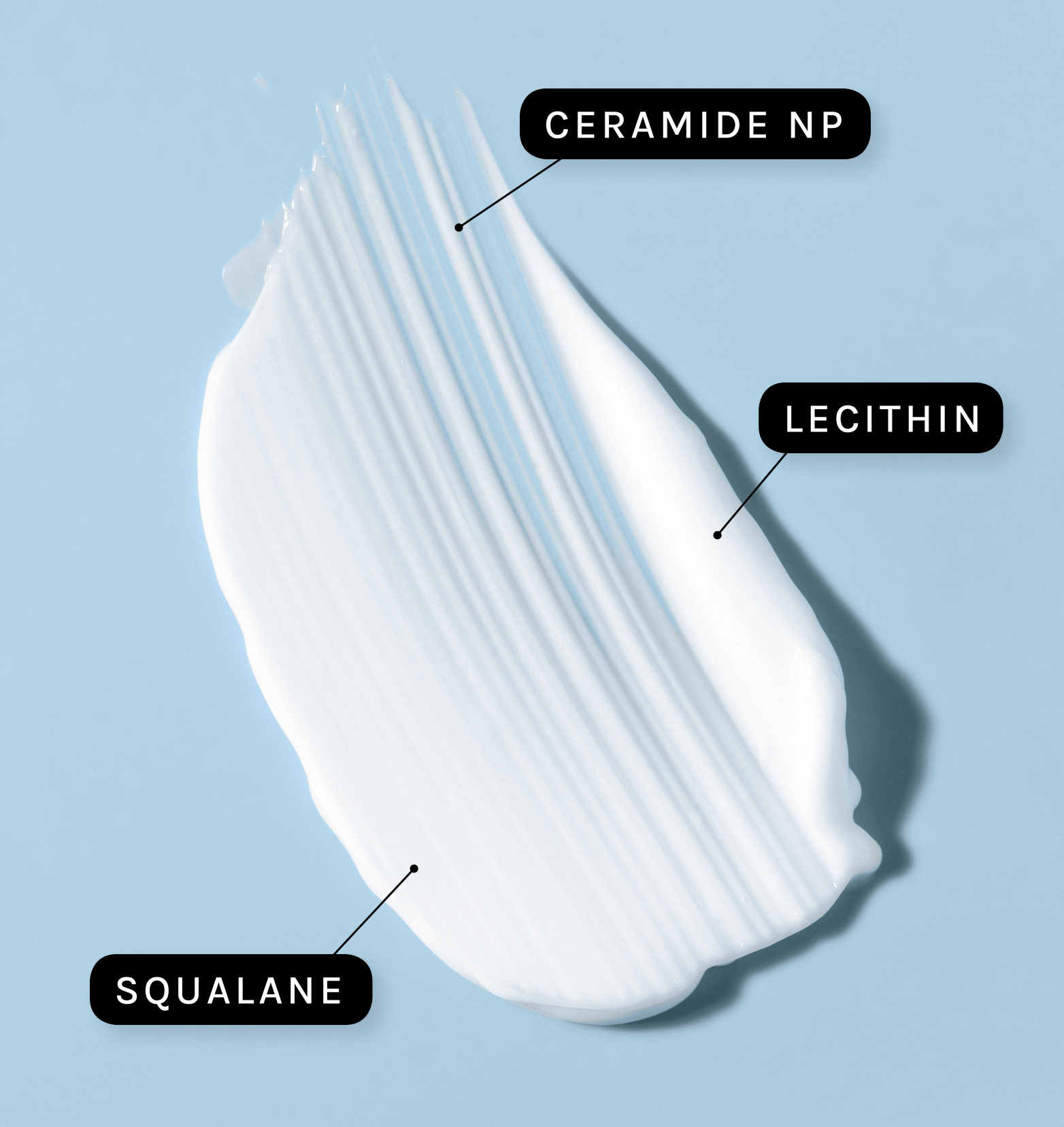 A spread of Physiogel Daily Moisture Cream on a blue surface with three ingredient texts: "ceramide NP", "lecithin", "squalane"