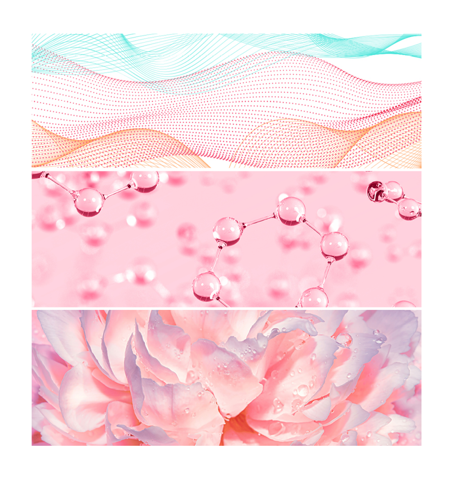 Three-layered abstract graphic: top shows wavy blue and pink mesh pattern, middle features floating bubble-like beads on a pink background, and bottom depicts close-up of dewy pink roses with OHUI Chiffon Ceramide Complex.