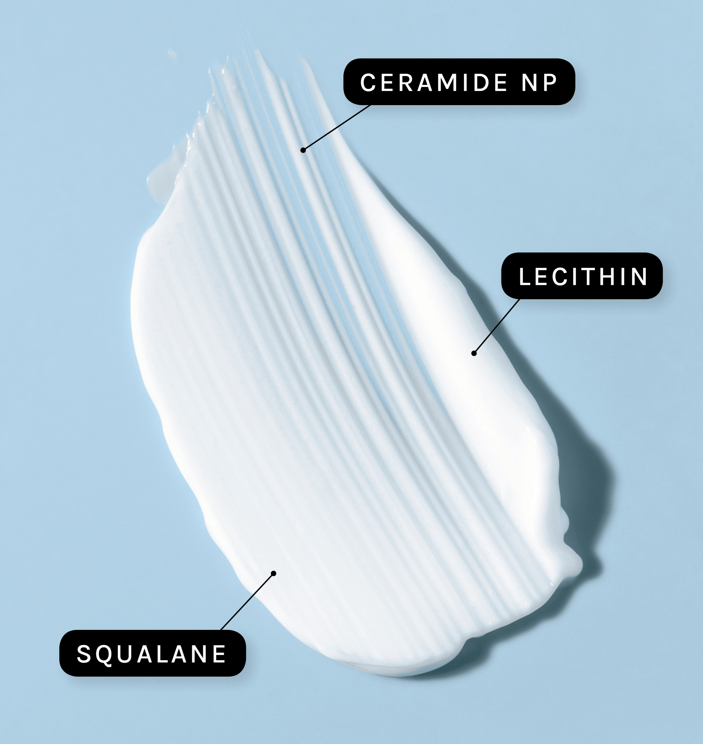 A spread of Physiogel cream on a light blue surface with three text bubbles: "Ceramide NP", "Lecithin", "Squalane"