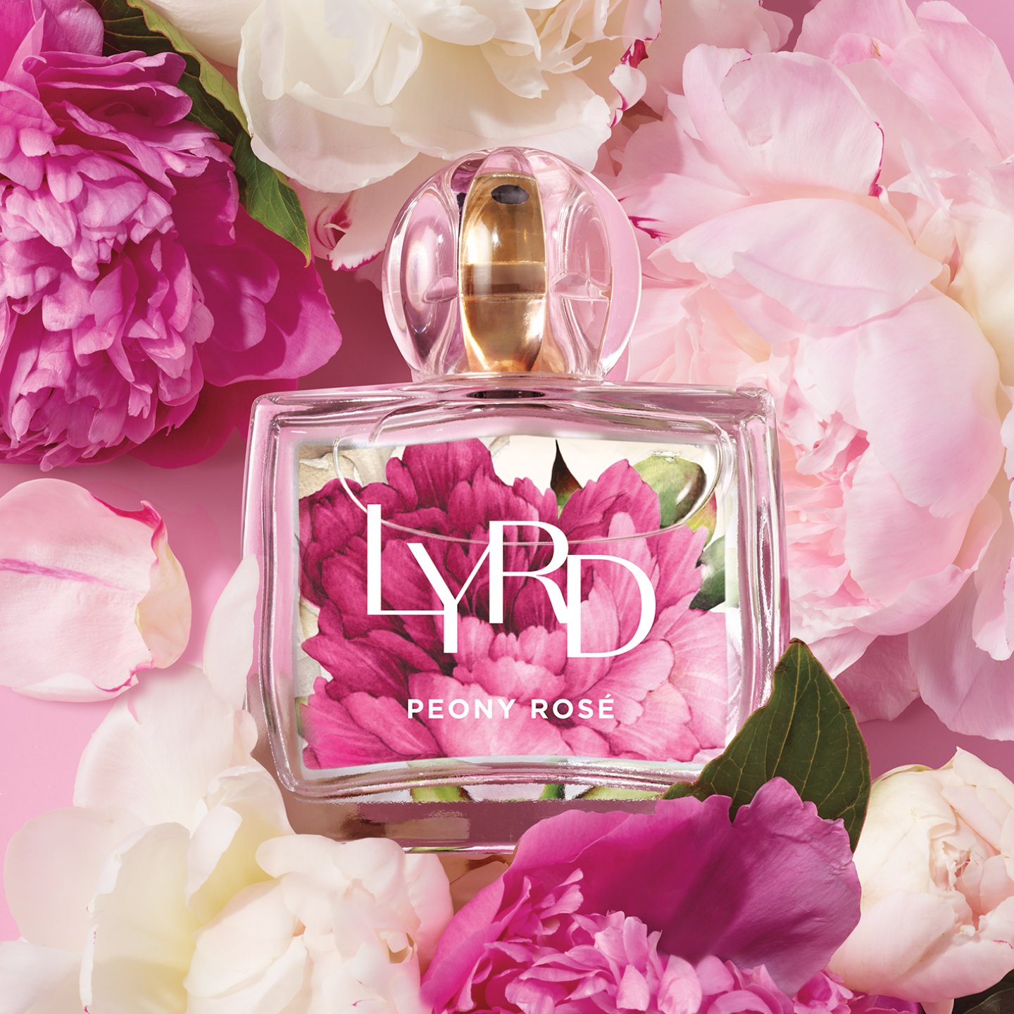 : A bottle of LYRD Peony Rose perfume surrounded by pink & white peony petals on a bright backdrop.