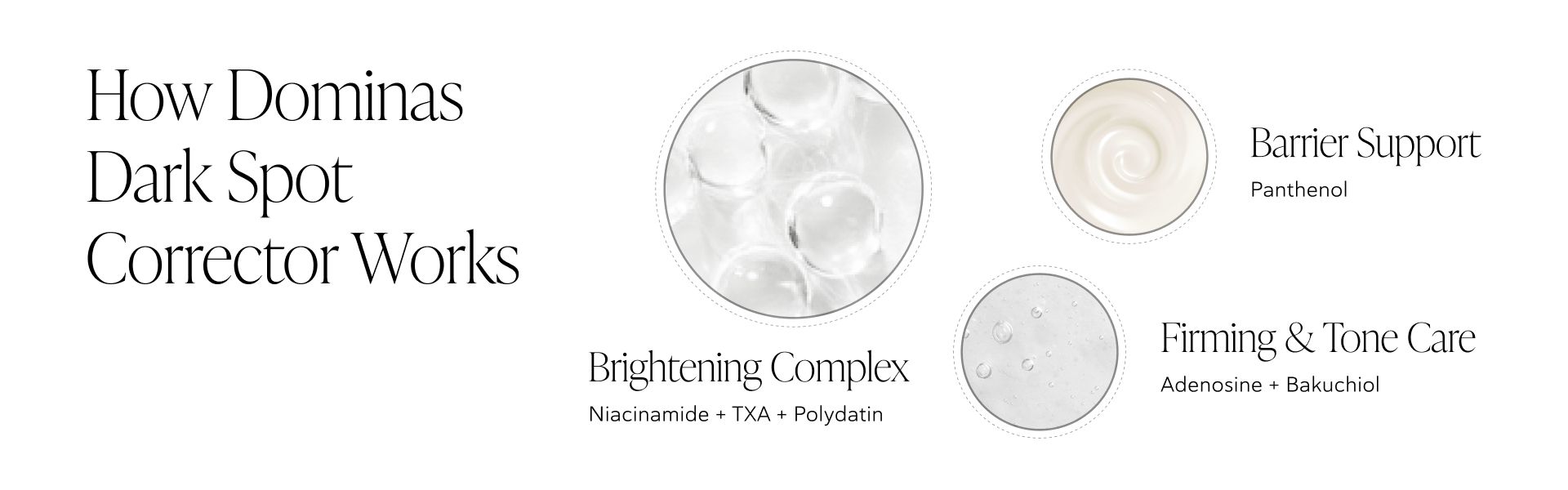Infographic explaining Dominas Dark Spot Corrector's functions: Brightening Complex (Niacinamide, TXA, Polydatin), Barrier Support (Panthenol), and Firming & Tone Care (Adenosine, Bakuchiol).