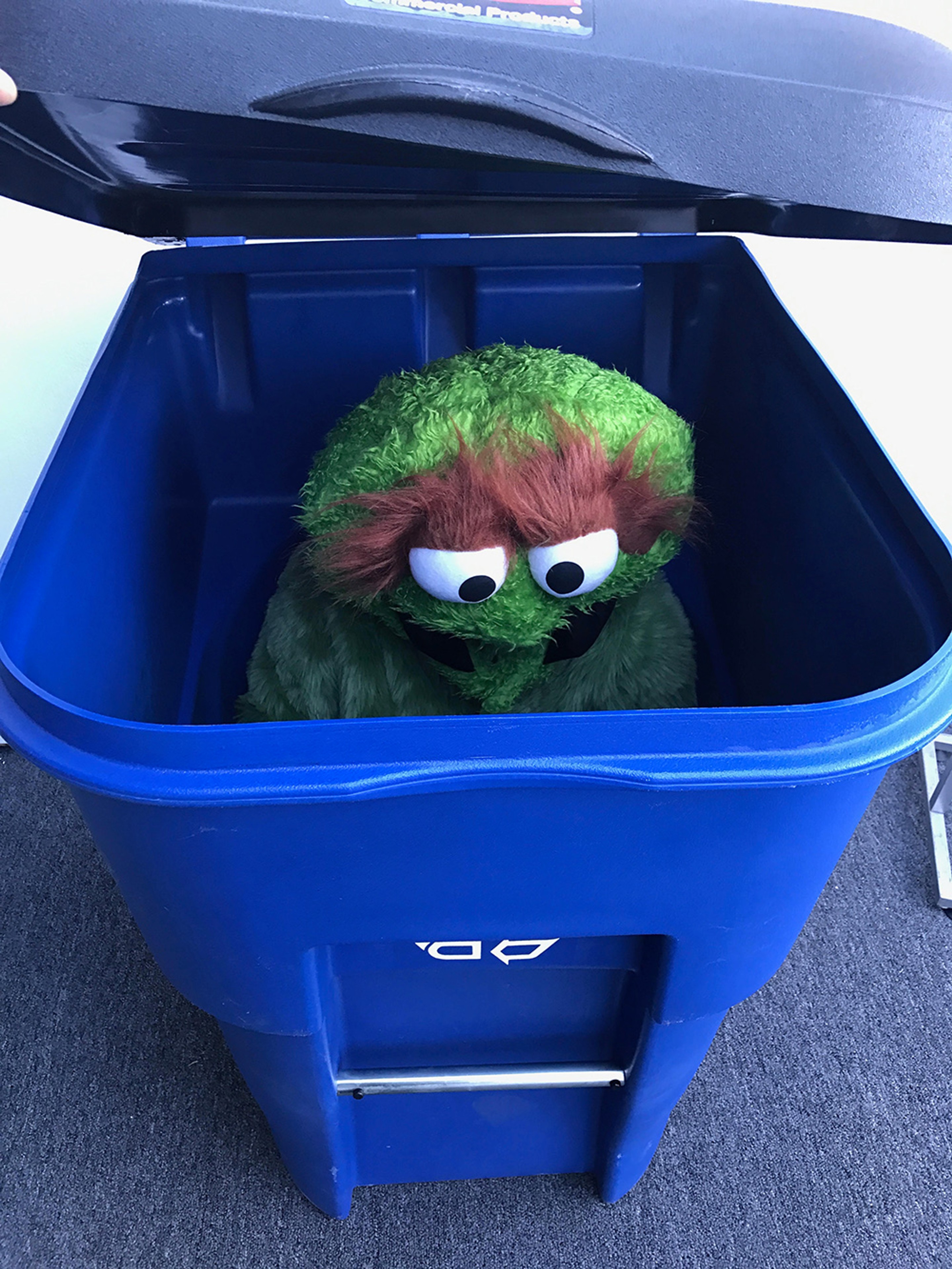Oscar the Grouch (Green, Reference to Barry Johnston), 2017
Grouch costume, blue recycling bin, performer
Unique