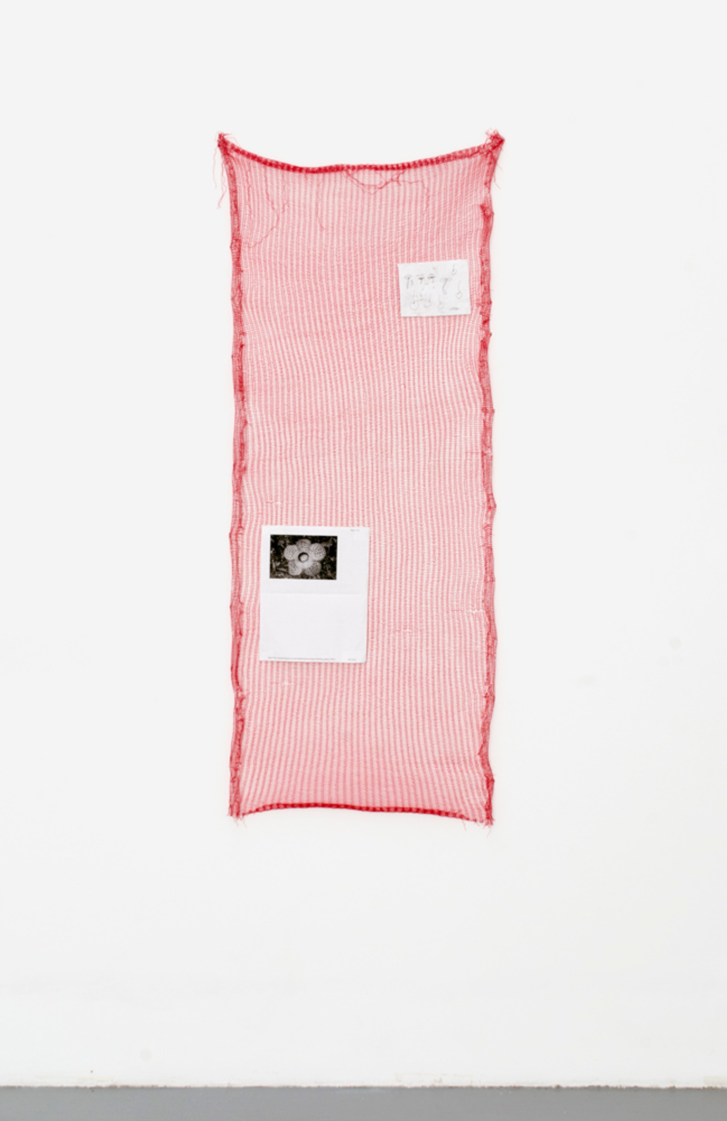 Luis Miguel Bendaña, Blush On A Man (2015). Custom machine knit polyester, polyurethane, pen on paper, Xerox on paper.