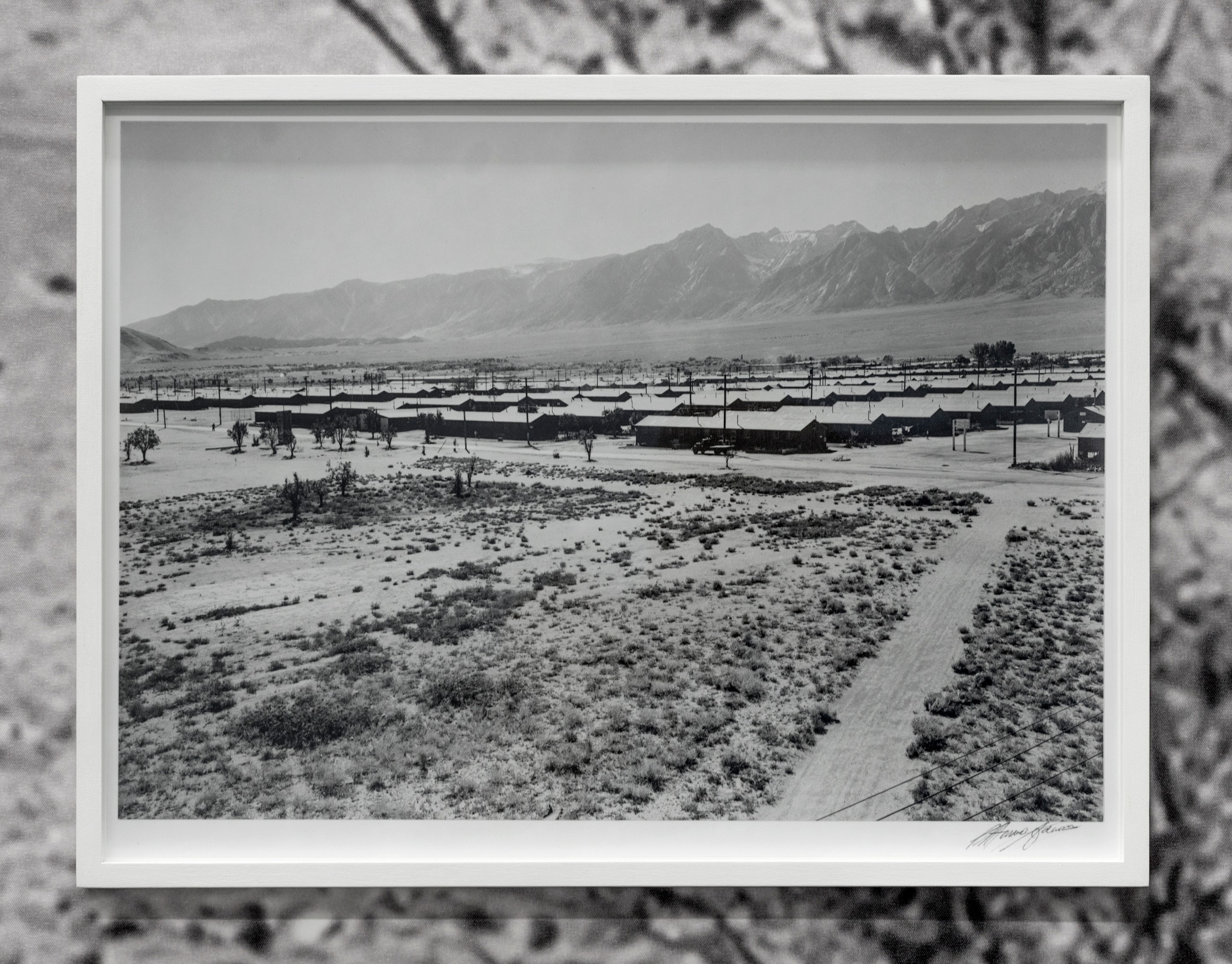 Ansel Adams, Manzanar from guard tower, summer heat, view SW, Manzanar Relocation Center, 1943 (Scanned Reproduction)(Sherrie Levine After Walker Evans) (2019)
Framed archival pigment print. 

14.5h x 19.25w inches (37h x 49w cm)