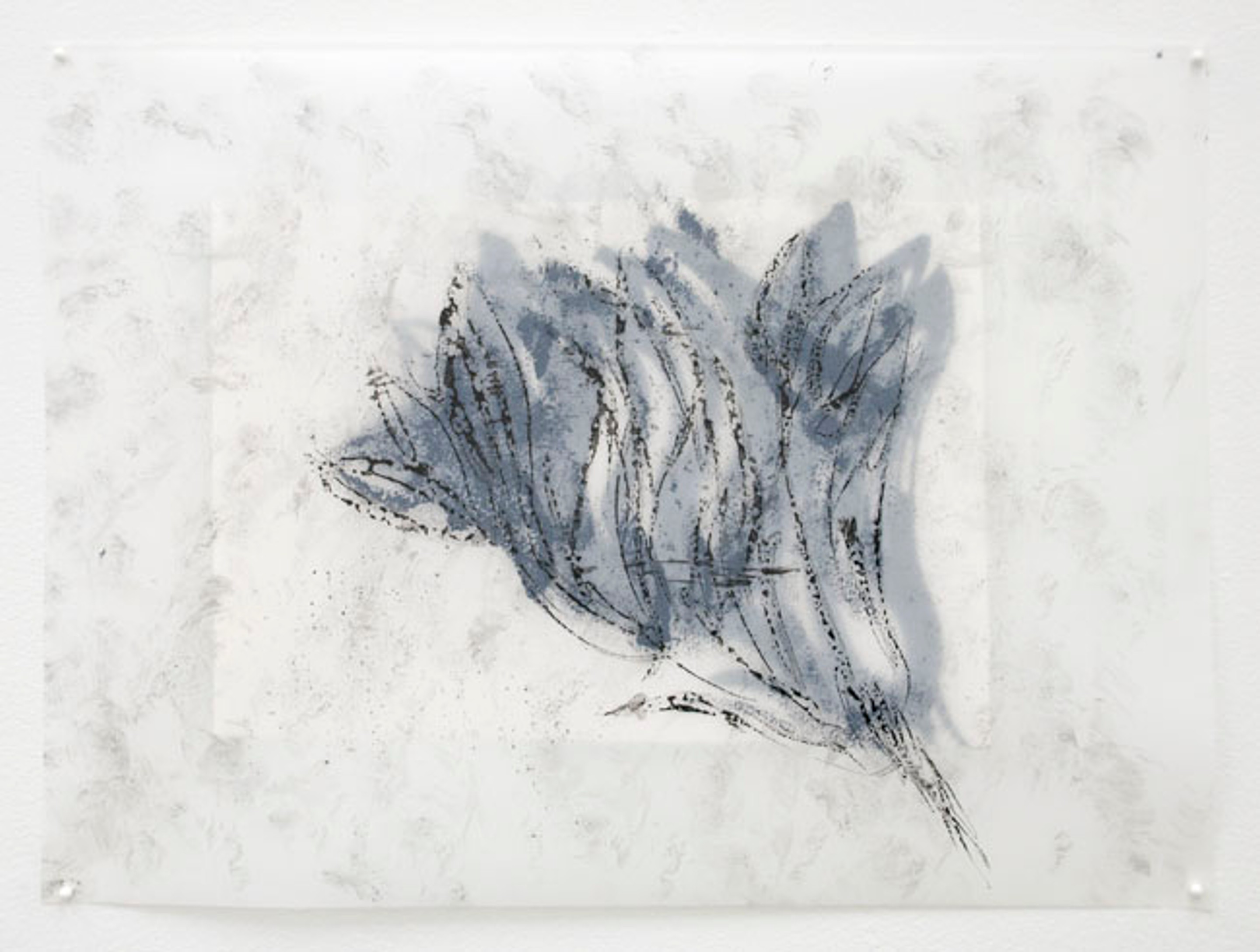 Michelle Daniela Villarreal, Replica (2012). Sumi ink on vellum and paper