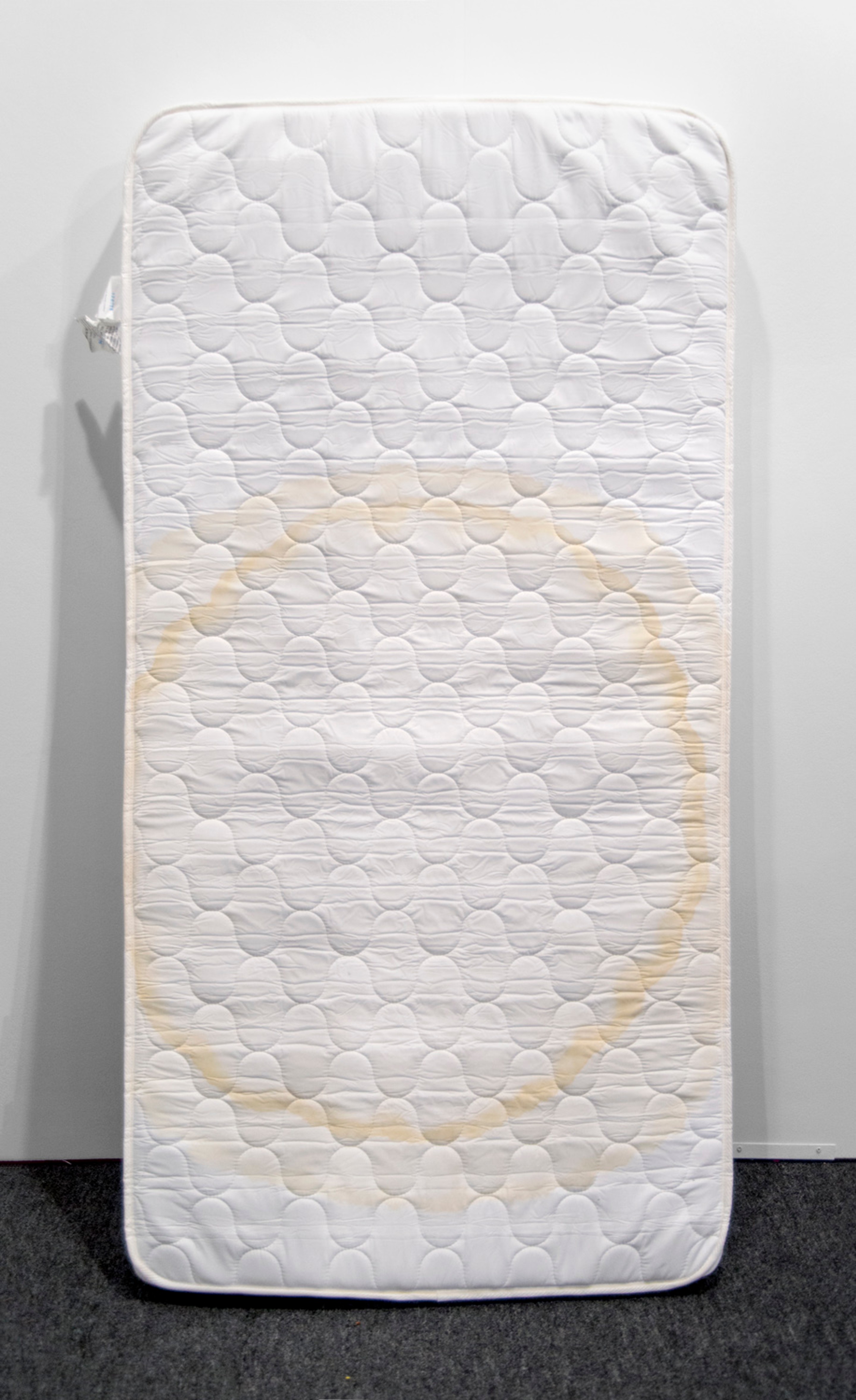 Bed Wetting, 2017
Twin Mattress, Urine
78 x 38 x 10 inches