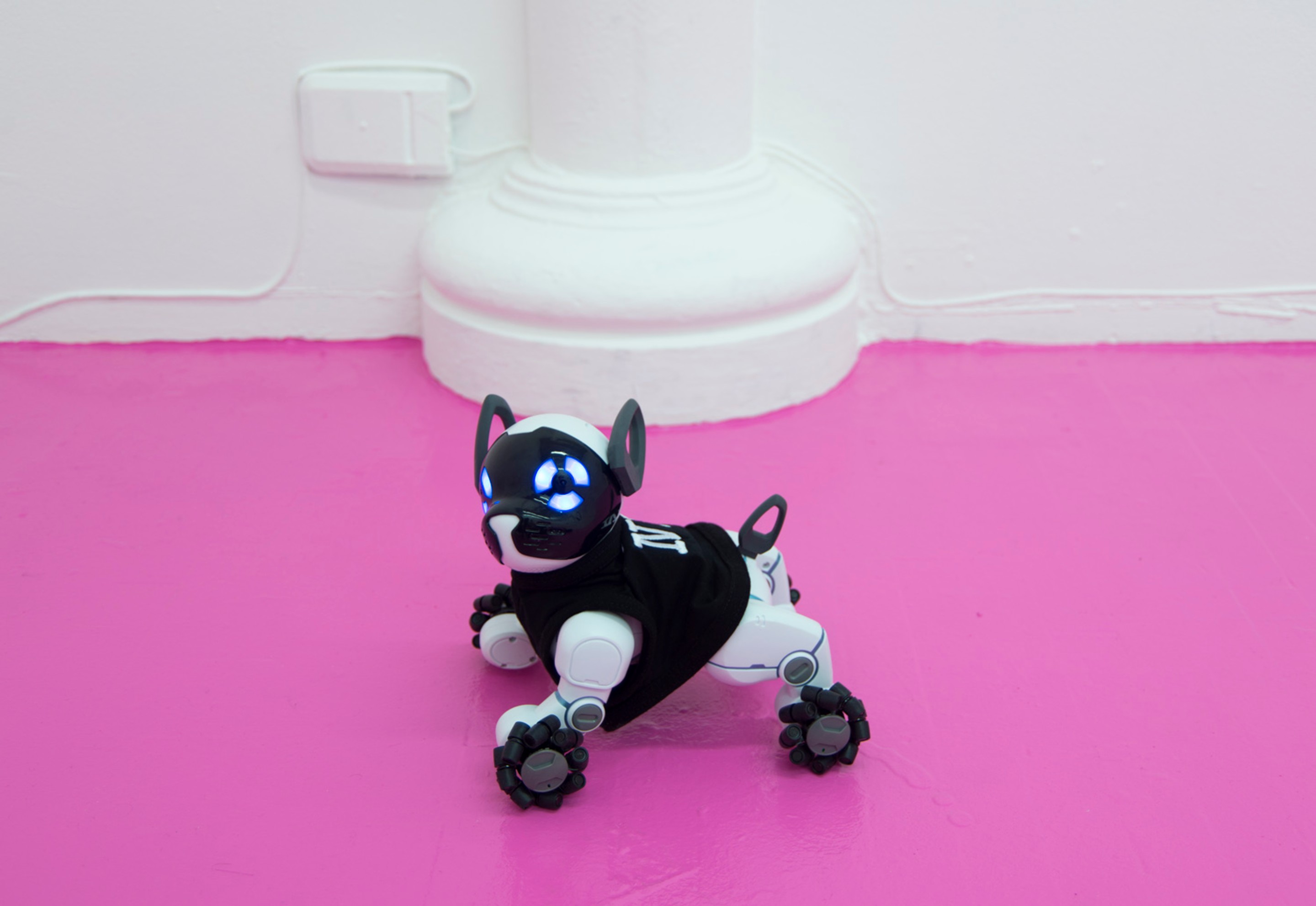 åyr
Michelangelo (2017). WowWee CHiP Robot Dog White, “I ❤️️ NY” tiny pet t-shirt

åyr
Schiaparelli Pink Triangle (Heartbreaker Pink R3410) (2017). Acrylic floor paint, color gel