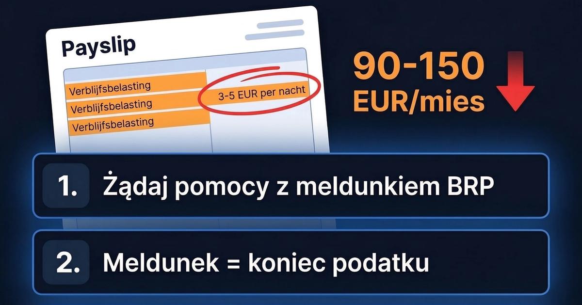 Meldunek w Holandii: Kto zarabia na Twoim adresie? (Fakty, Przepisy i Pułapki)