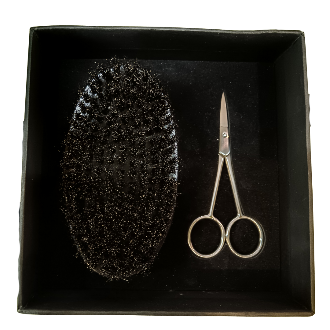 Bristle Brush and Scissor Set