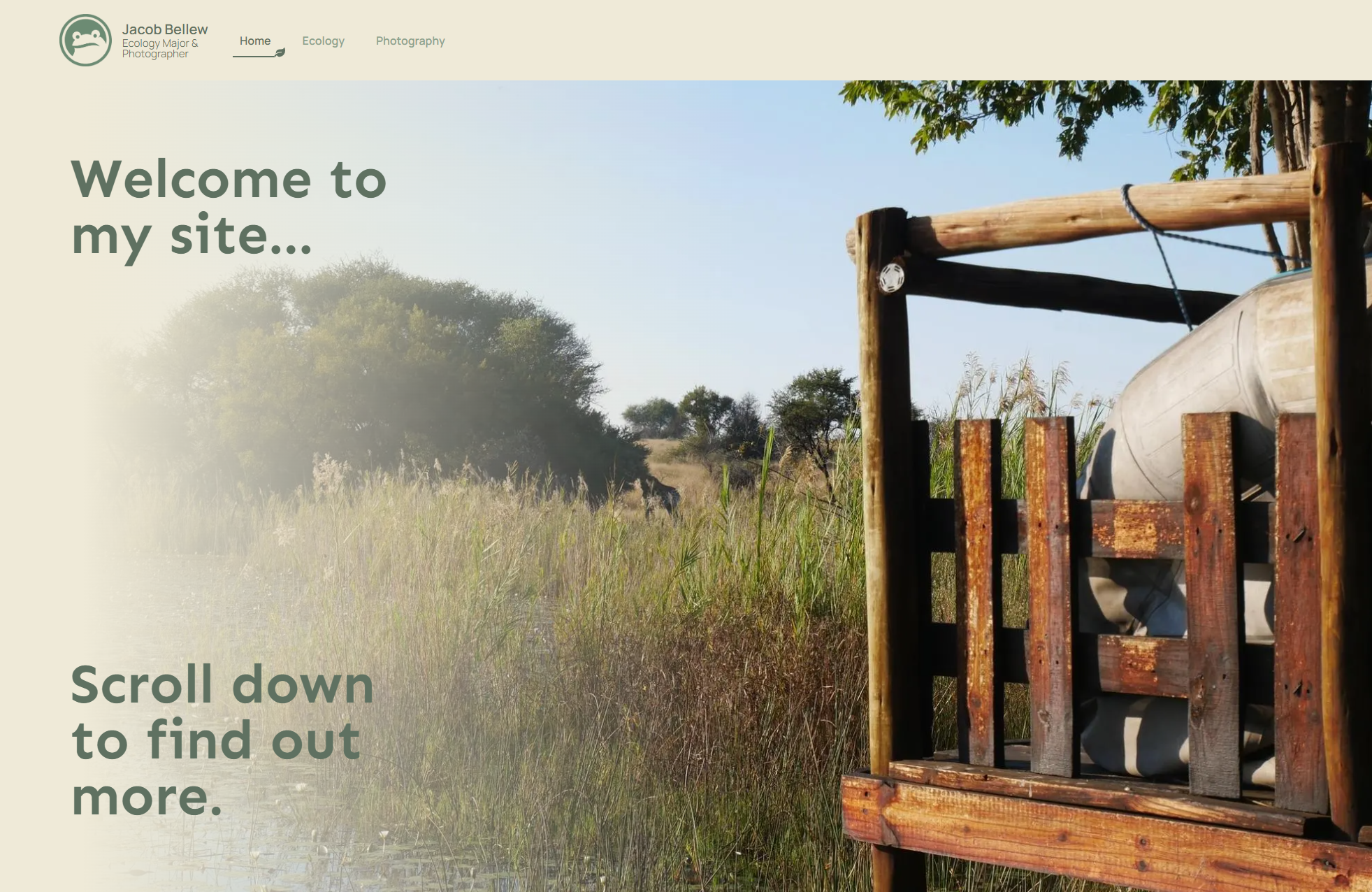 A screenshot of the home page of the website.