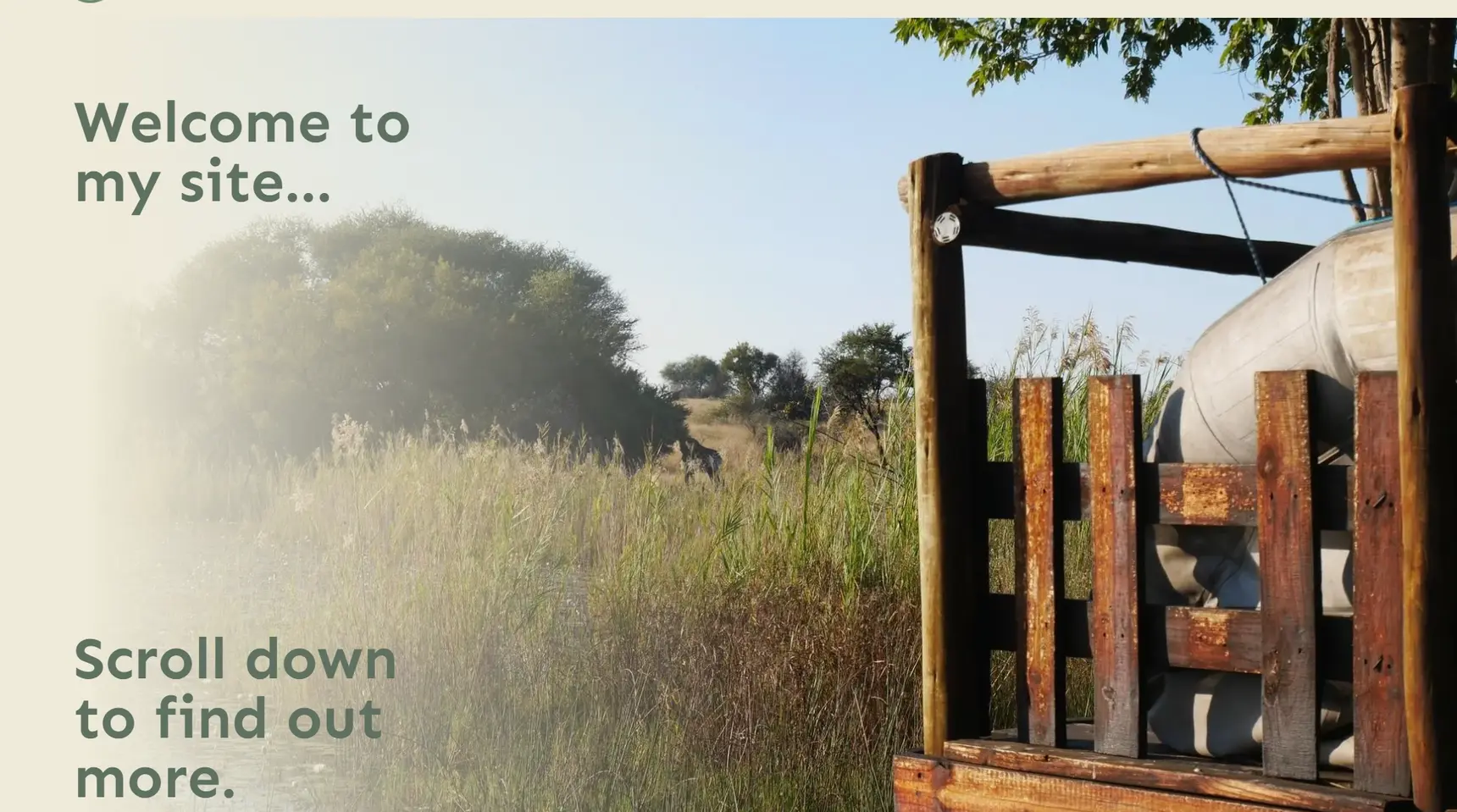 A screenshot of the home page of the website.