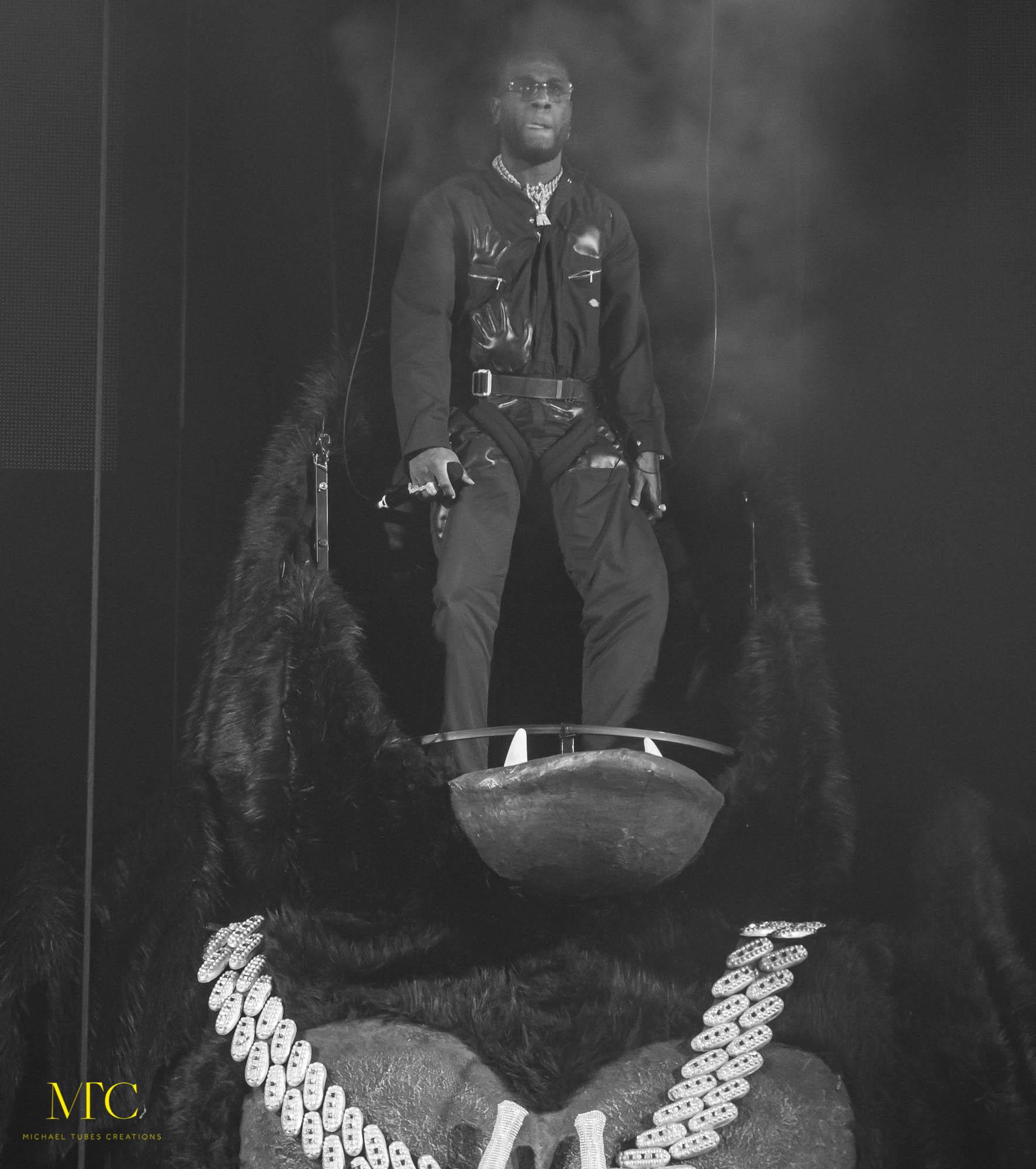 The African Giant Tour