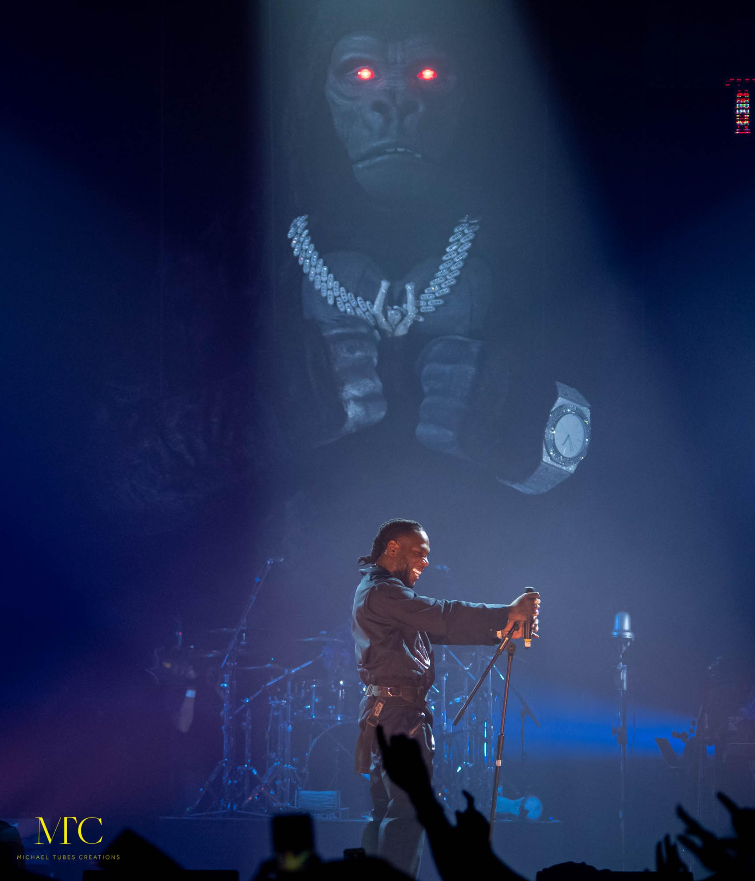 The African Giant Tour