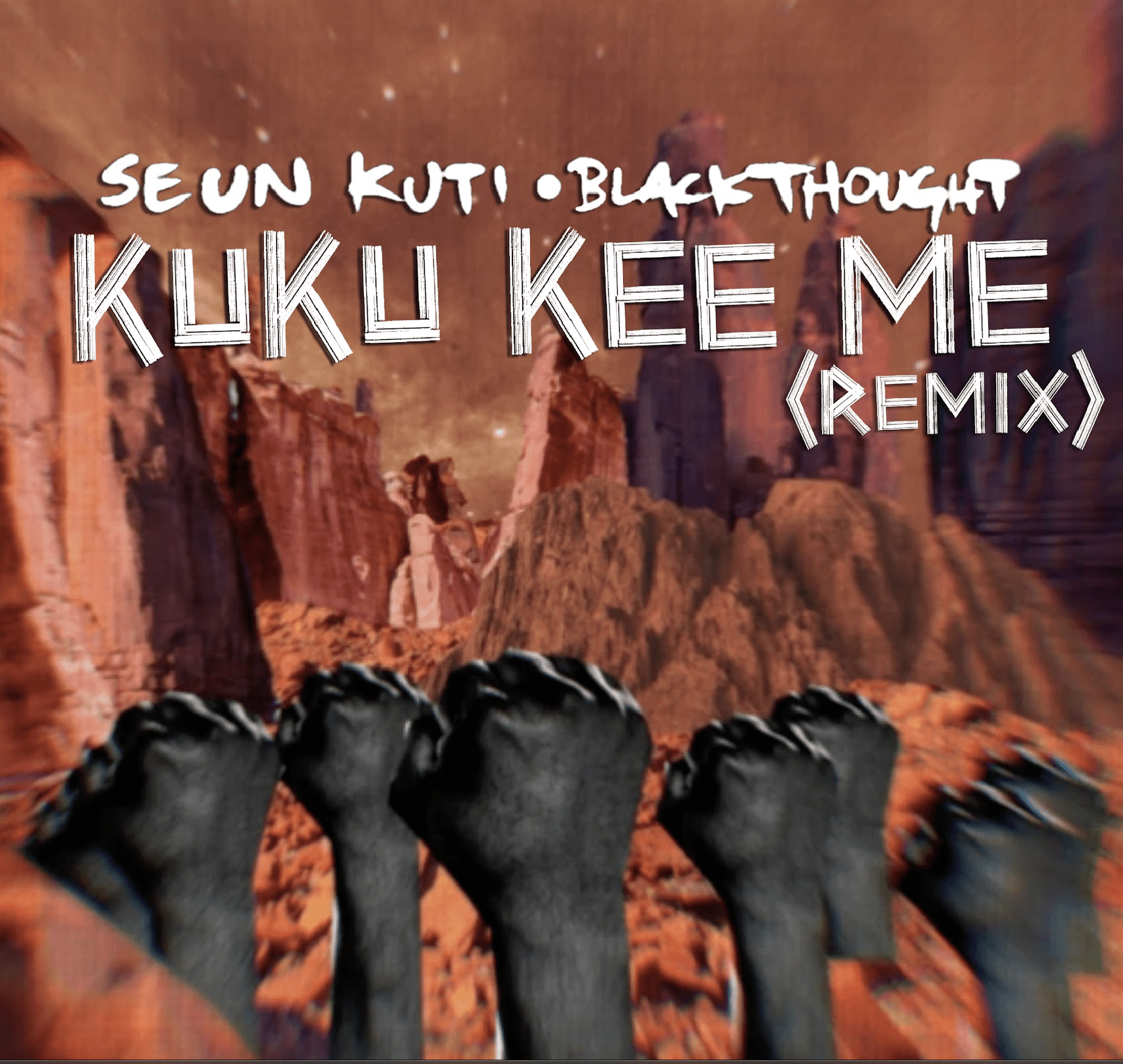 SEUN KUTI & BLACK THOUGHT - KUKU KEE ME (REMIX)