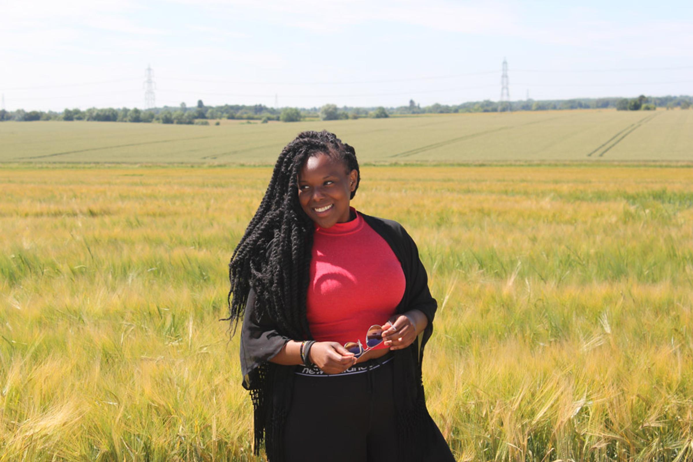 Photograph 8534