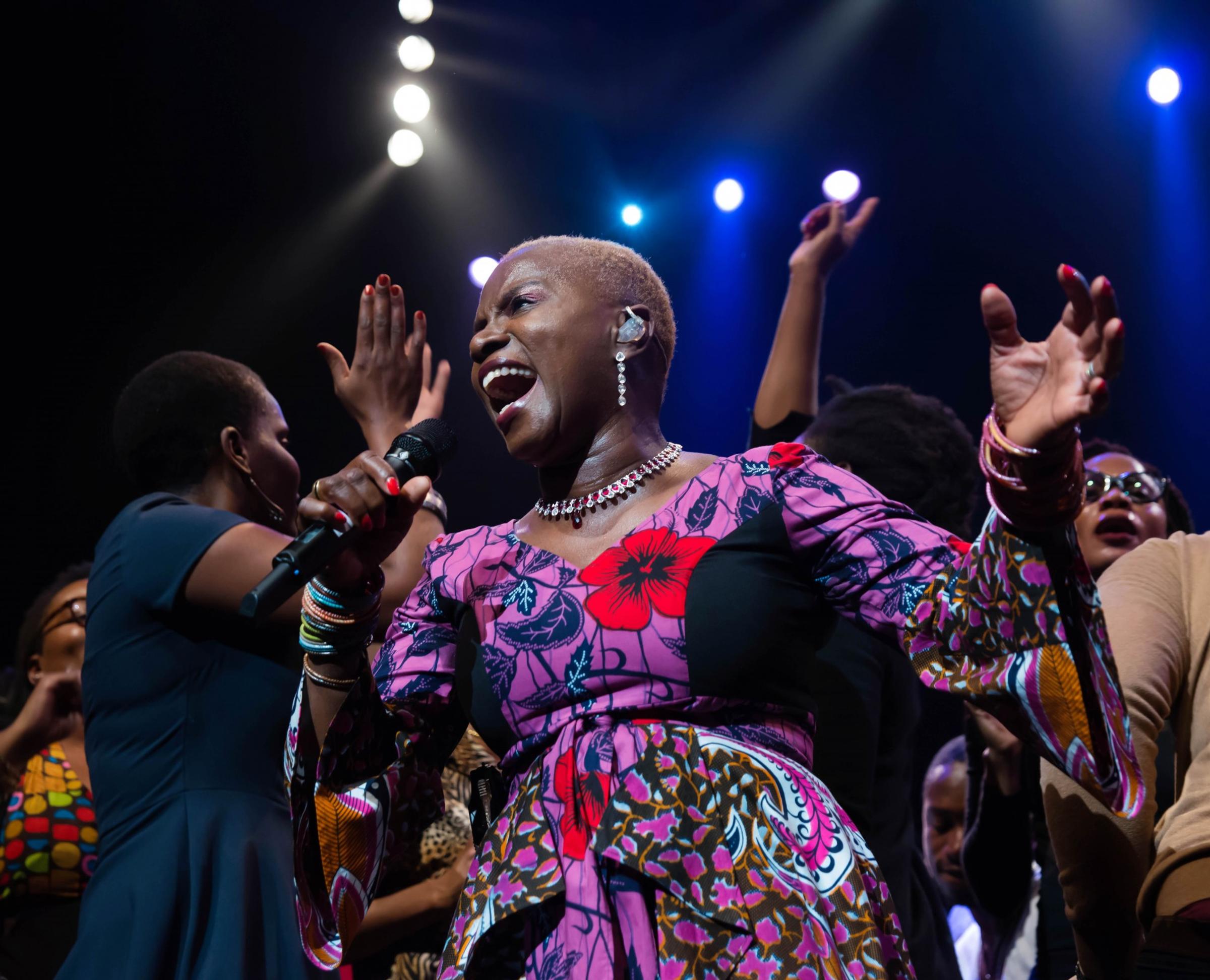 African artists ambassadors for Africa