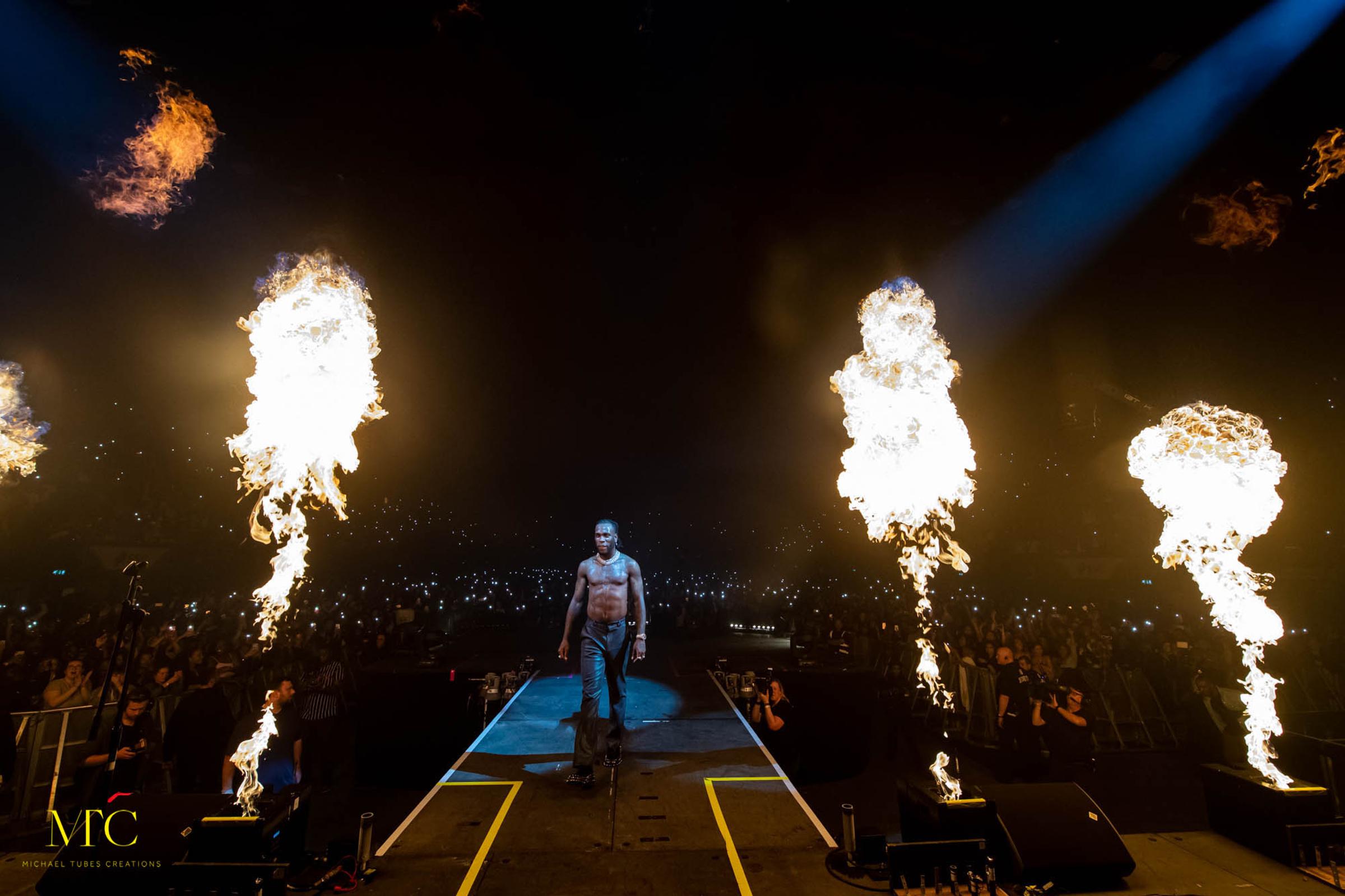 The African Giant Tour