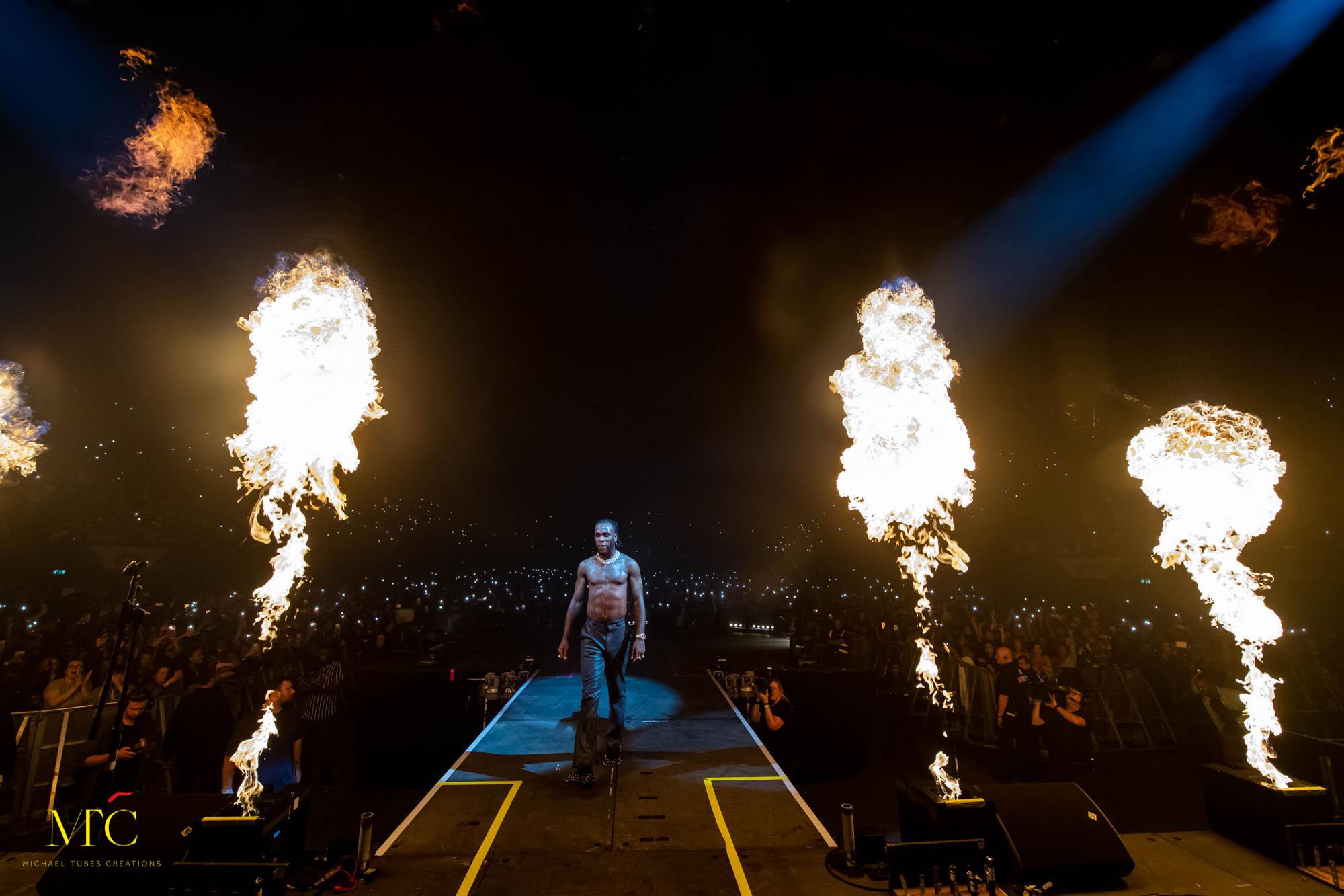 The African Giant Tour