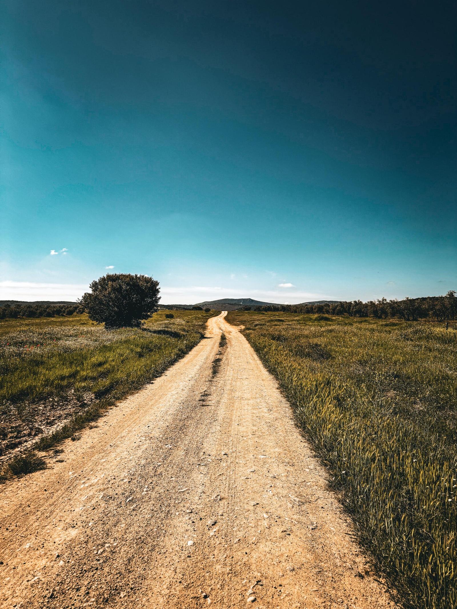 The Gravelscape