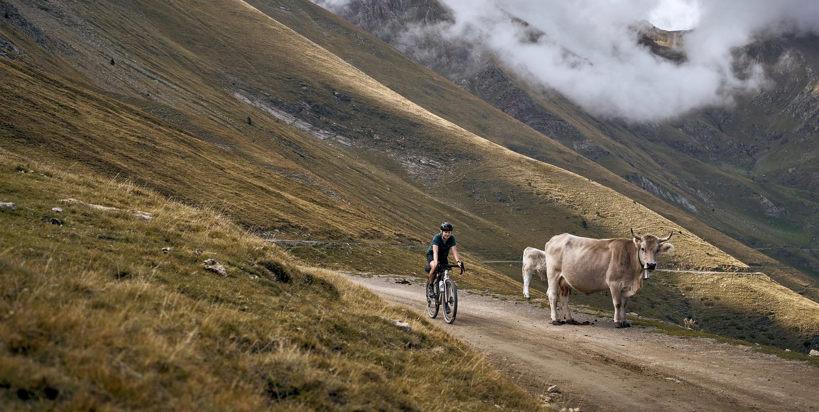 Pyrenean Rally
