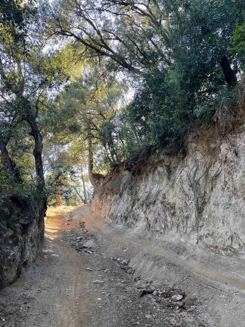 The Serralada Loop