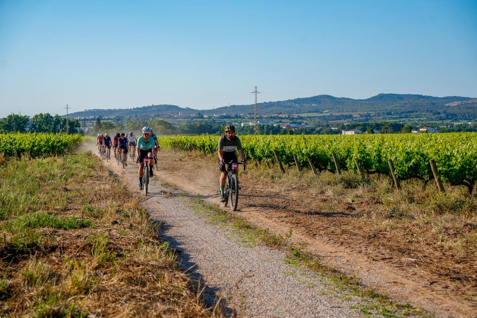 Gravel Penedes 2026
