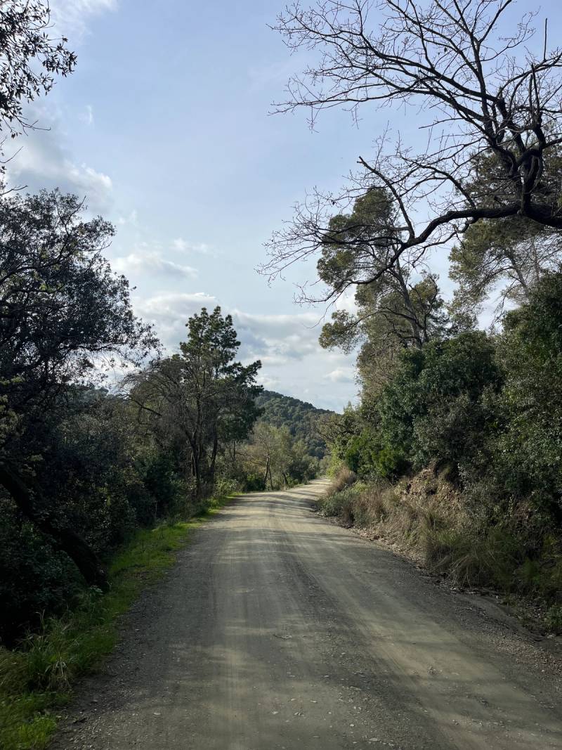 The Gavarres Loop hero photo