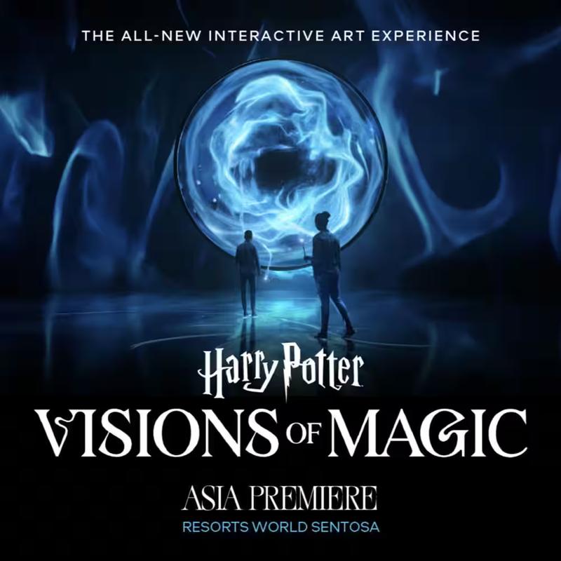 Harry Potter : Visions of Magic - Peak