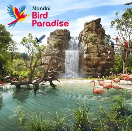 Bird Paradise - Fixed Date