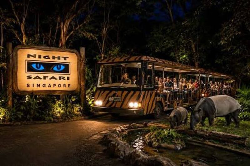 Night Safari w Tram - Fixed Date / Time