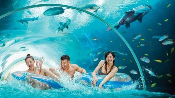 Adventure Cove Park - Fixed Date