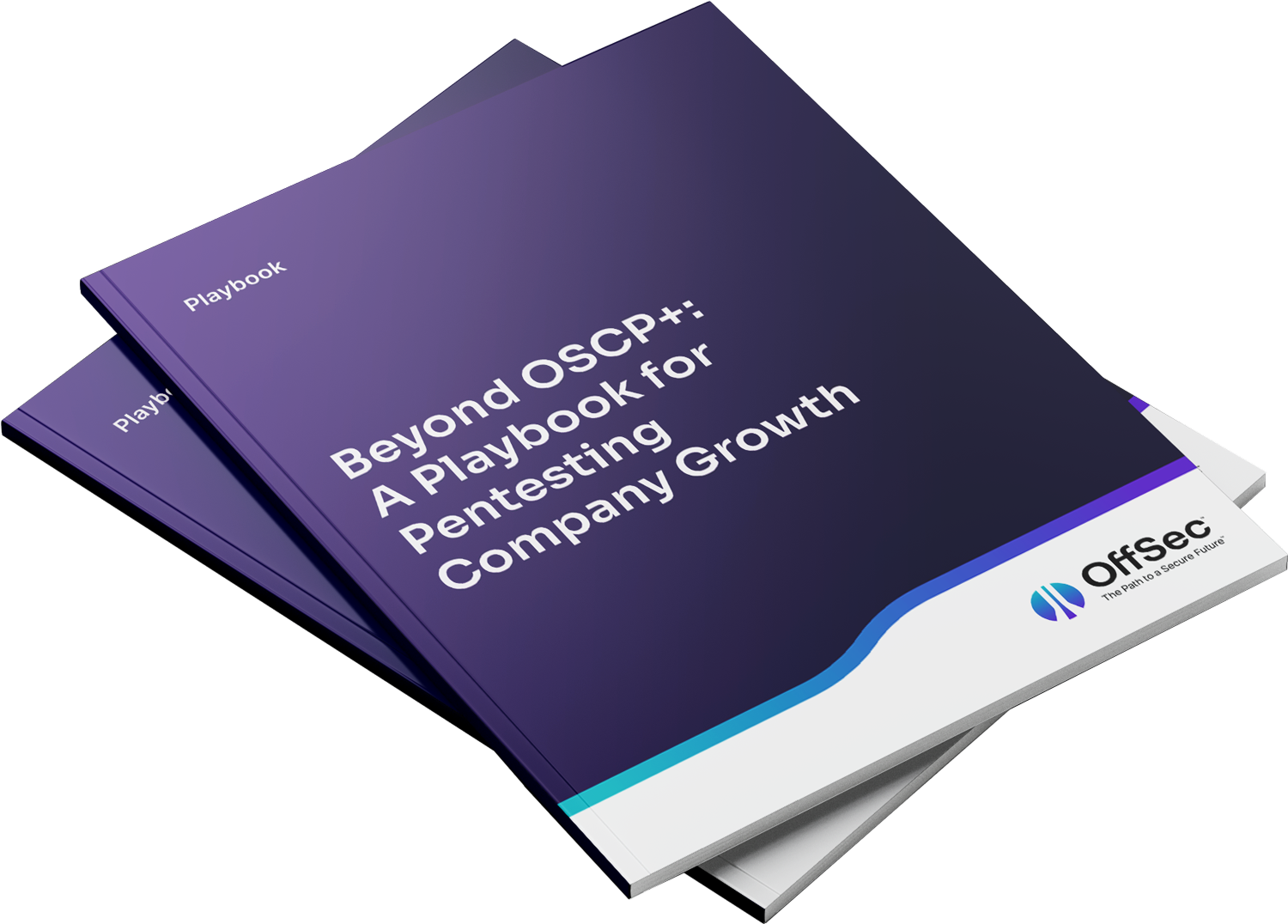Beyond OSCP+: A Playbook for Pentesting Company Growth