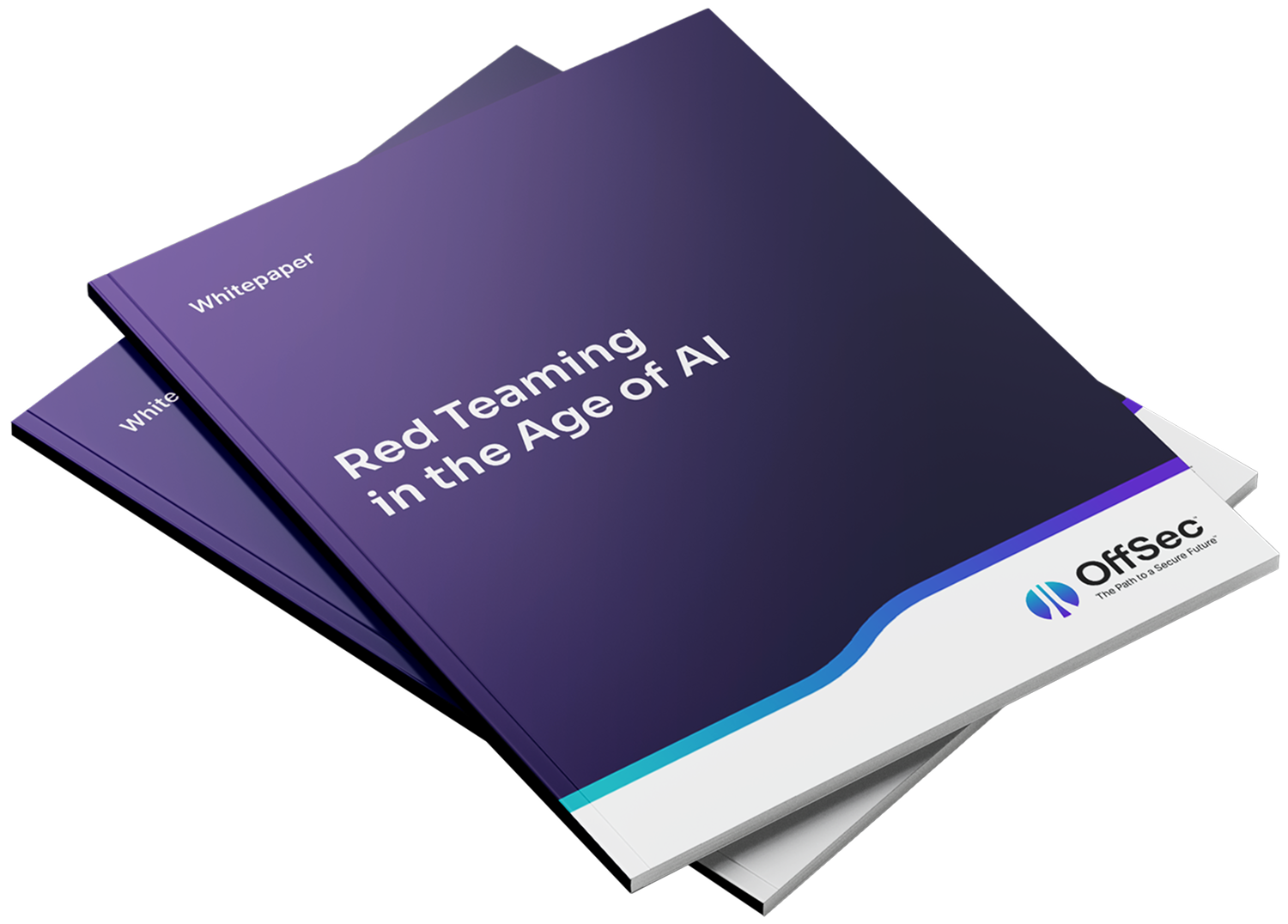 Red Teaming in the Age of AI